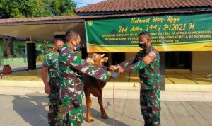 Rayakan Idul Adha, Dandim 0604 Karawang Serahkan 7 Sapi dan 12 Domba