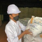 Cek Ketersediaan Pangan Nasional, Presiden Jokowi Tinjau Gudang Bulog di Kelapa Gading Jakut