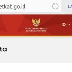 Situs Setkab Diretas, Pelaku Ngaku Sudah Bobol 650 Kali Situs Website