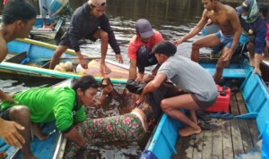 Perahu Mesin Terbalik, Pasutri Meninggal Dunia di Danau Sentarum Kapuas Hulu