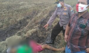 Pencari Jerami Ditemukan Tewas di Persawahan Desa Gedangsewu Tulungagung
