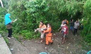 Dua Korban Tenggelam di Sungai Batanghari Leko Berhasil Ditemukan Team Gabungan
