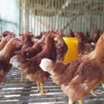 Ini Kata BBC Skill Terkait Bantuan Diskannak Purwakarta