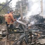 Balita Main Korek Gas, Kandang Sapi Milik Widarti Ludes Terbakar
