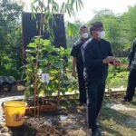Kembangkan Program Tatanan, SD dan SMP di Purwakarta Tanam Pohon Bambu
