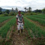 Kelompok Tani dan Kades Basilam Baru, Apresiasi Program KUR Tani Bupati Tapsel