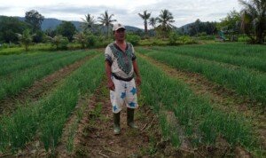 Kelompok Tani dan Kades Basilam Baru, Apresiasi Program KUR Tani Bupati Tapsel