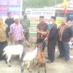Dispangkan Gayo Lues Distribusikan 170 Ekor Kambing ke Rikit Gaib