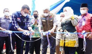 Gerakan “Stek” Satu Juta Batang Kopi, Diyakini Akan Tingkatkan Kualitas Kopi Sumsel