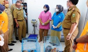 Peringati Hari Rabies Sedunia, Pemprov Sumsel Gelar Vaksinasi Hewan Gratis