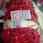 Harga Cabai Merah di Palembang Terjun Bebas