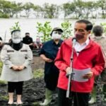Presiden Jokowi: Rehabilitasi Mangrove di Seluruh Tanah Air Sebanyak 34 Ribu Hektare Akan Terus Kita Lakukan
