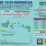 Update 3 Oktober 2019 Korban Covid-19 di Indonesia: 4.219.284 Positif, 4.044.235 Sembuh, 142.173 Meninggal