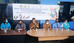 BKSDA Sumsel Kembalikan 74 Ekor Satwa Dilindungi ke Habitat