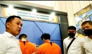 Dua Pengedar Ganja Ditangkap Petugas