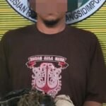 Satres Narkoba Polres Padangsidimpuan Bekuk Pengedar Ganja ke Kingkong