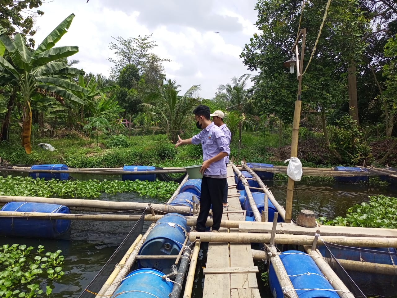 Salah satu anggota Pemuda Tani Milenial Sugihwaras Palembang, sedang memberi makan ikan air tawar, di lahan tambak ikan yang merupakan bantuan CSR DPPU SMB II Pertamina MOR II Palembang SUmsel (Hari Wijaya Kasturi / Mattanews.co)