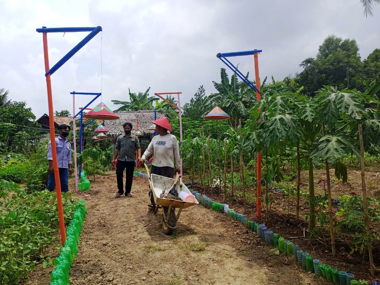 Salah satu kebun sayur mayur yang juga dibangun tambak ikan air tawar di Lorong Nangka 1 Sugihwaras Palembang, merupakan desa binaan dari DPPU SMB II Pertamina MOR II Palembang Sumsel (Hari Wijaya Kasturi / Mattanews.co)