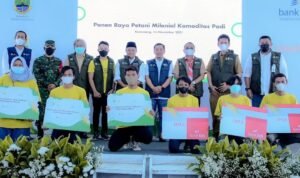 Wagub Jabar Saksikan Panen Raya Petani Milenial Karawang