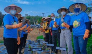 KWT Diyakini Mampu Menopang Kesejahteraan Masyarakat