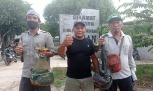 Turnamen Mancing Kolam Roman, Rana Putra dan Odon Bakaran Sabet Juara