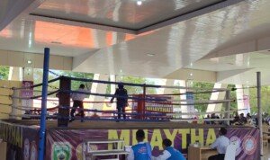Keseruan Laga Atlet Muaythai, OKU Timur Maju Babak Selanjutanya