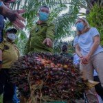 Duta Besar Norwegia Rut Kruger Giverin: Kami Miliki Berbagai Program Keberlanjutan Perkebunan Sawit