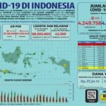 Update 11 November 2021 Korban Covid-19 di Indonesia: 4.249.758 Positif, 4.096.664 Sembuh, 143.608 Meninggal