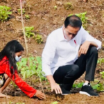Setelah Tanam Pohon Bersama Masyarakat NTB, Presiden Jokowi Bertolak ke Papua