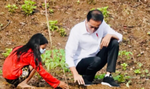 Setelah Tanam Pohon Bersama Masyarakat NTB, Presiden Jokowi Bertolak ke Papua