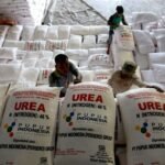 Produktivitas Petani Sumsel Meningkat Karena Pupuk Subsidi