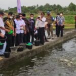 Enos Resmikan Kampung Patin di Desa Sidorahayu OKU Timur