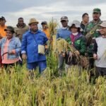 Kepala Distrik Tomage Ingin Generasi Milenial Jadi Petani Muda