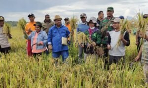 Kepala Distrik Tomage Ingin Generasi Milenial Jadi Petani Muda