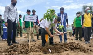Reboisasi di Simpang Pantai Brumbun, Bupati Maryoto: Wujudkan Tulungagung Pro Iklim