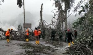 Hari Kelima Paska Erupsi Semeru, Tim Gabungan Temukan Total 43 Korban Meninggal Dunia