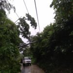 Pohon Tumbang Timpa Tiang Listrik, Jalan Lahat – Pagar Alam Sempat Lumpuh