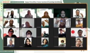 Kolaborasi Multi Stakeholder Kawal Restorasi Lanskap Sembilang, Target Pulihkan Hutan Gambut