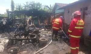 Lalai Api di Tungku, 3 Ekor Kambing Milik Tukiran Terpanggang