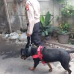 Polsek Palmerah Terjunkan Anjing K-9 Grebek Kampung Boncos, 8 Orang Diamankan