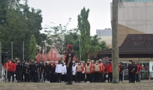 Rayakan HUT ke-49, PDI Perjuangan Akan Menangkan Pilkada Sumsel