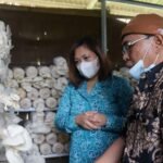Kiat Kelurahan Sidomulyo Tuntungan di Masa Pandemi, Ajak Warga Budidaya Jamur Tiram