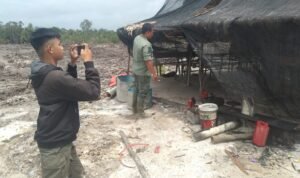 Tim Gabungan Sidak Tambang Ilegal Hutan Lindung Jebu Bembang Babar