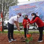 Tanam Sejuta Pohon pada HUT Pemprov Kalbar ke 65 Tahun, Wabup Kapuas Hulu Katakan Ini