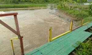 Saat ini Kondisi DAS Alami Pendangkalan, Sigit: Kita Sudah Agendakan Lakukan Pengerukan