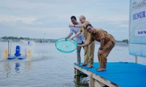 Bupati Aceh Tamiang Pantau Pertumbuhan Udang Vaname