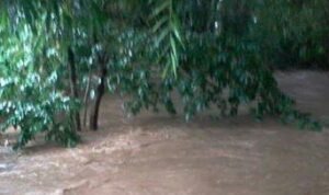 Banjir Jember Jatim, 1 Warga Meninggal dan 1 Lainnya Hilang