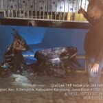Sepeda Motor Terbakar, Anak dan Bapak Dilarikan ke Rumah Sakit