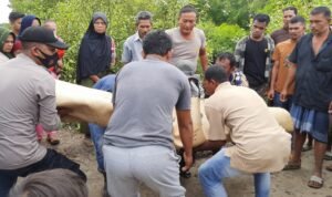 Pamit Cari Kepiting, Warga Aceh Utara Ditemukan Tak Bernyawa