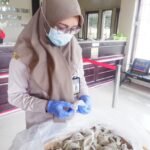 Sarang Burung Walet Asal Sulbar Senilai Rp1 Miliar Berangkat ke Salatiga